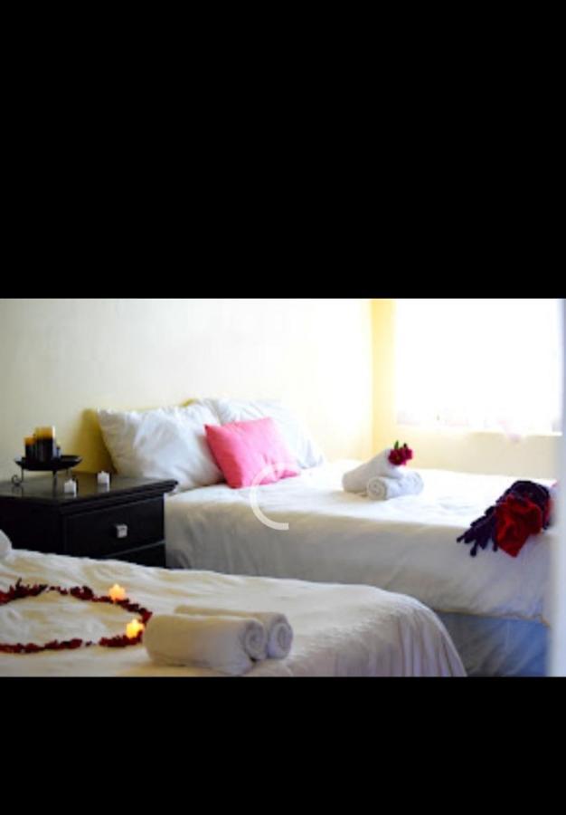 Falcon Lodge Newcastle Εξωτερικό φωτογραφία