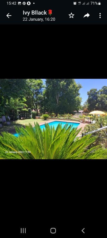 Falcon Lodge Newcastle Εξωτερικό φωτογραφία